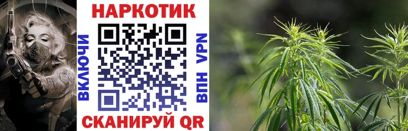 Где купить наркоту Зеленогорск Кокаин  Мефедрон  Галлюциногенные грибы  Бошки Шишки  ГАШИШ  APVP 