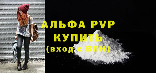 ешки Вяземский