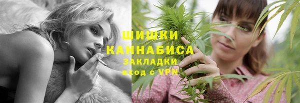 ешки Вяземский
