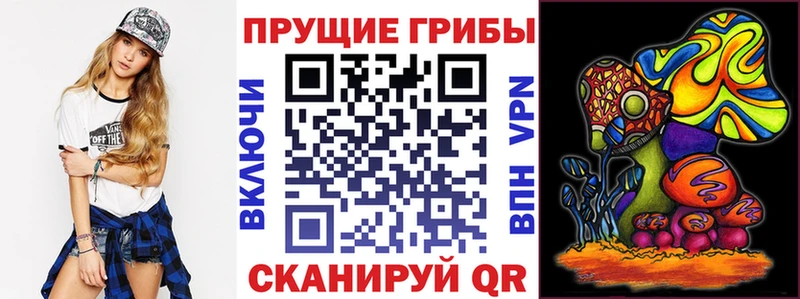 где купить наркоту  MEGA ONION  Псилоцибиновые грибы прущие грибы  Зеленогорск 